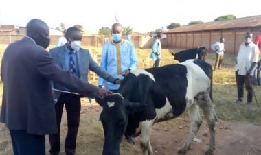 Huye: Abarokotse Jenoside batishoboye bahawe inka   